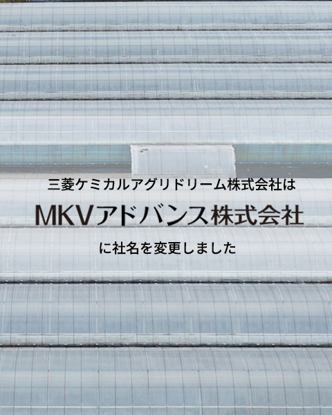 三菱化学MKV ダイヤフォルテＳ